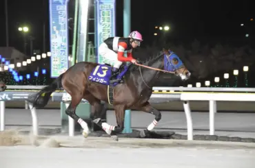【船橋競馬　Jpn3ブルーバードC】JRAのフィンガーがV　中山での初勝利から中16日の快走 - スポニチ Sponichi Annex ギャンブル