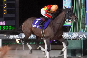 報知グランプリＣを優勝したグロリアムンディ