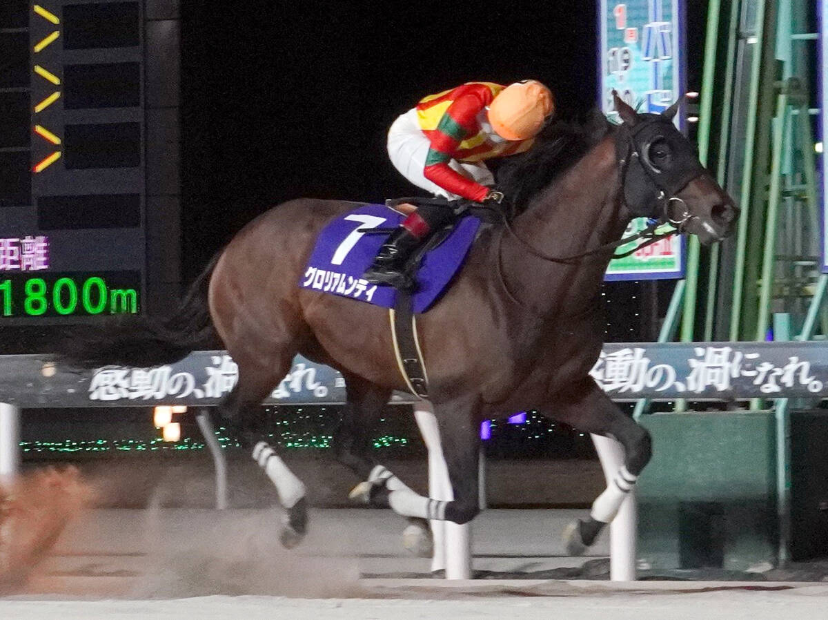 報知グランプリCを優勝したグロリアムンディ