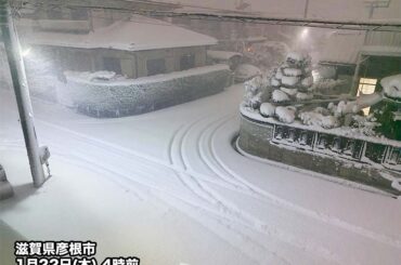 ウェザーニュース