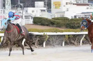 【姫路競馬　兵庫クイーンセレクション】8番人気ジューンキートスがV　17歳・小谷は重賞初制覇 - スポニチ Sponichi Annex ギャンブル