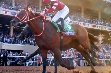 昨年のブリーダーズカップクラシックを制した坂井瑠星騎手騎乗のフォーエバーヤング