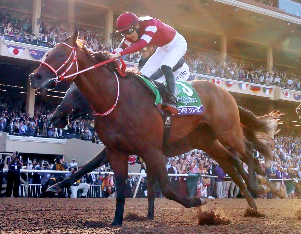 昨年のブリーダーズカップクラシックを制した坂井瑠星騎手騎乗のフォーエバーヤング