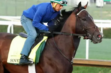 米エクリプス賞年度代表馬の得票数はソヴリンティ201票　フォーエバーヤング17票 - スポニチ Sponichi Annex ギャンブル