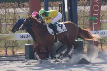 【京都新馬戦】ホーナー初陣V　浜中、復帰後5戦目で勝利「いいレースを続けていきたい」 - スポニチ Sponichi Annex ギャンブル
