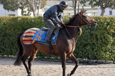 馬トク激走馬に計算されたジェイパームス（カメラ・荒牧　徹）