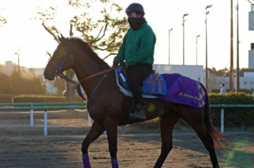 馬トク激走馬に計算されたディマイザキッド（カメラ・荒牧　徹）