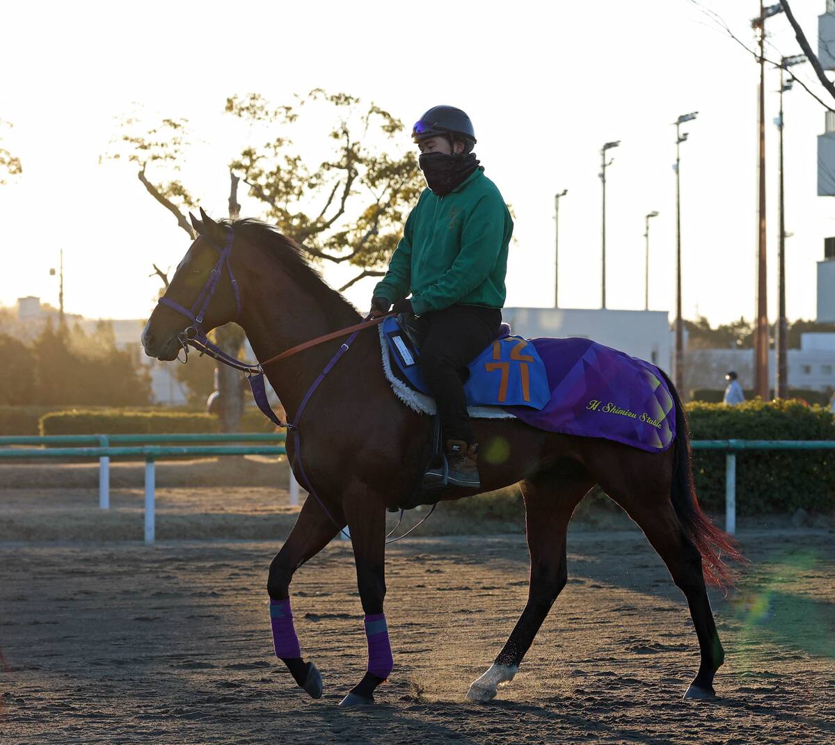 馬トク激走馬に計算されたディマイザキッド(カメラ・荒牧 徹)