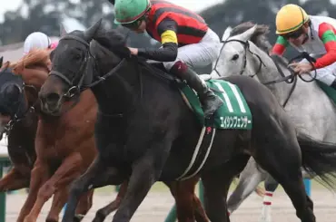 【シルクロードS　展望】末脚に磨きをかけたヤブサメが新星候補　エイシンフェンサーは連覇を期す - スポニチ Sponichi Annex ギャンブル