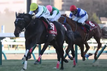 【AJC杯】“最強4歳世代”今週も勝った!ショウヘイ重賞2勝目　次戦は3月ドバイか4月大阪杯目指す - スポニチ Sponichi Annex ギャンブル