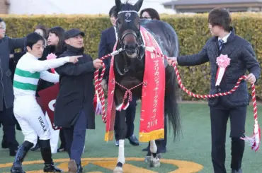 【AJC杯】記録アラカルト - スポニチ Sponichi Annex ギャンブル