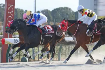 【プロキオンS】ロードクロンヌ　やっと勝った!惜敗続き6度目挑戦で重賞初制覇　いざG1獲りへ - スポニチ Sponichi Annex ギャンブル