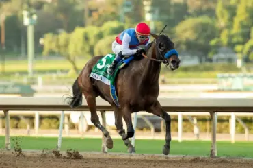 木村和士騎手が名門バファート厩舎の5歳牝馬ナフィサで米G3制覇「気分良く走れるよう心がけました」 - スポニチ Sponichi Annex ギャンブル