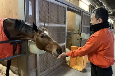 【セントポーリア賞】ブルースカイブルー　左回りで素質開花だ!　初の東上に期待「新しい面が出れば」 - スポニチ Sponichi Annex ギャンブル