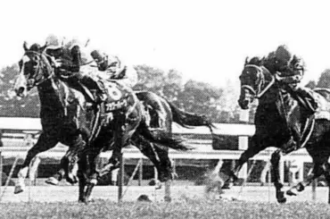 【追憶のシルクロードS】96年フラワーパーク　“第1回”はお任せ！スプリント路線に咲いた遅咲き娘 - スポニチ Sponichi Annex ギャンブル