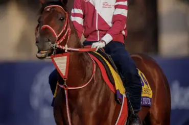 ドバイワールドC登録馬発表　フォーエバーヤングなど日本馬は27頭がエントリー - スポニチ Sponichi Annex ギャンブル