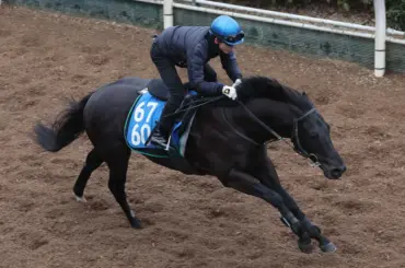 【シルクロードS】幸2カ月ぶり復帰!　オタルエバー調教騎乗で坂路4F51秒3の好時計「問題なかった」 - スポニチ Sponichi Annex ギャンブル