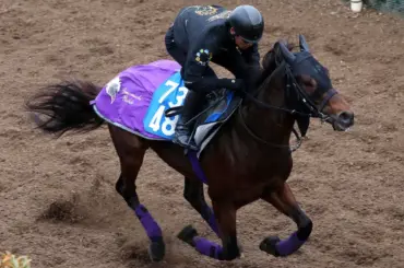 【根岸S】ダノンフィーゴ　坂路4F54秒4　動き地味も実戦派「調教は元々動かない」 - スポニチ Sponichi Annex ギャンブル