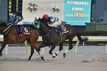 【大井競馬　金盃】7歳グリューヴルムが重賞初V　内田師「やっと勝つことができて良かった」 - スポニチ Sponichi Annex ギャンブル