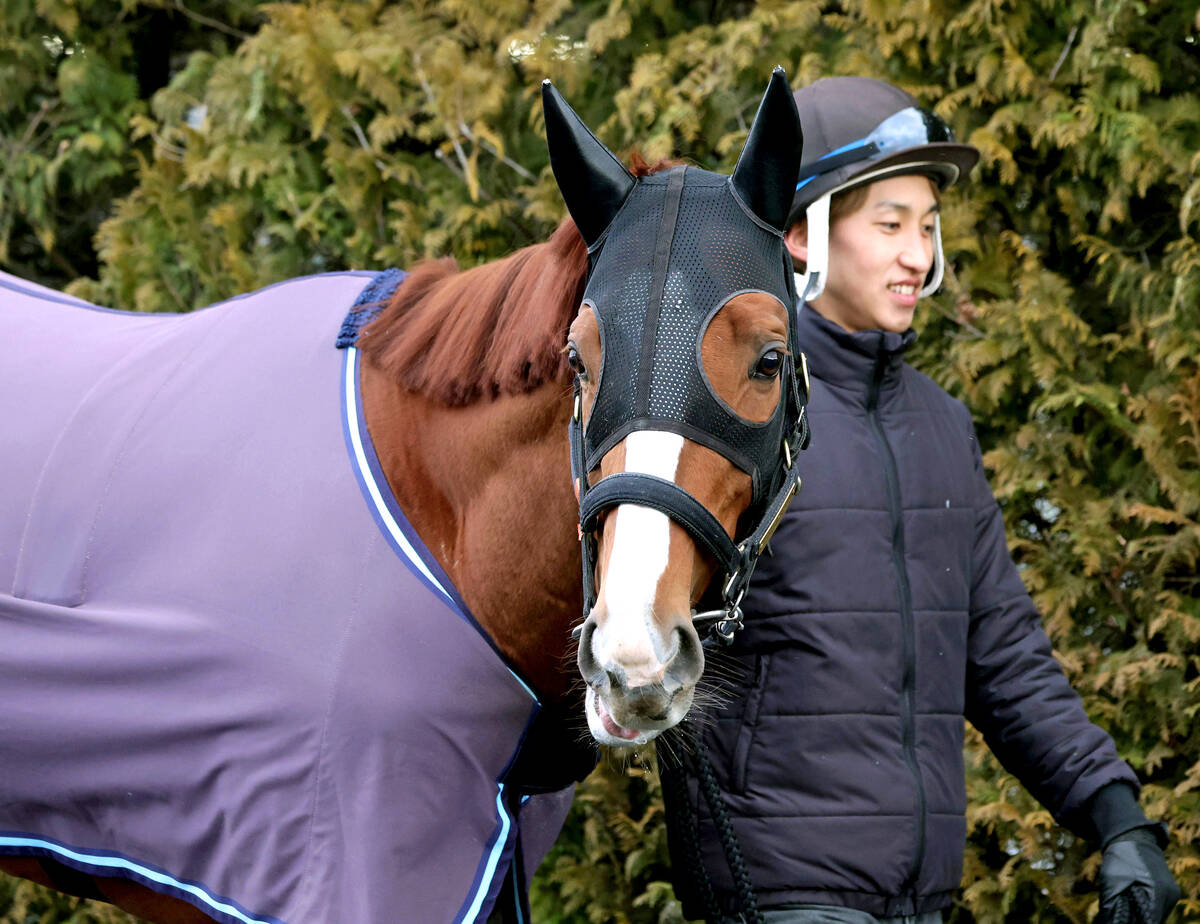厩舎周りで運動するオメガギネス