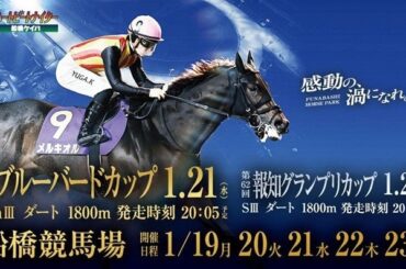 船橋ケイバ 第10回開催〔1月19日（月）～1月23日（金）〕第10回はブルーバードカップ（JpnIII）・報知グランプリカップ（SIII）開催！ | 千葉県競馬組合のプレスリリース