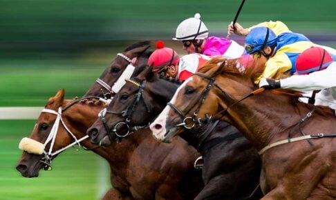 【中山記念／全頭診断】前走GI組なら断然セイウンハーデス　“3着穴”妙味は前走馬券外の7歳馬