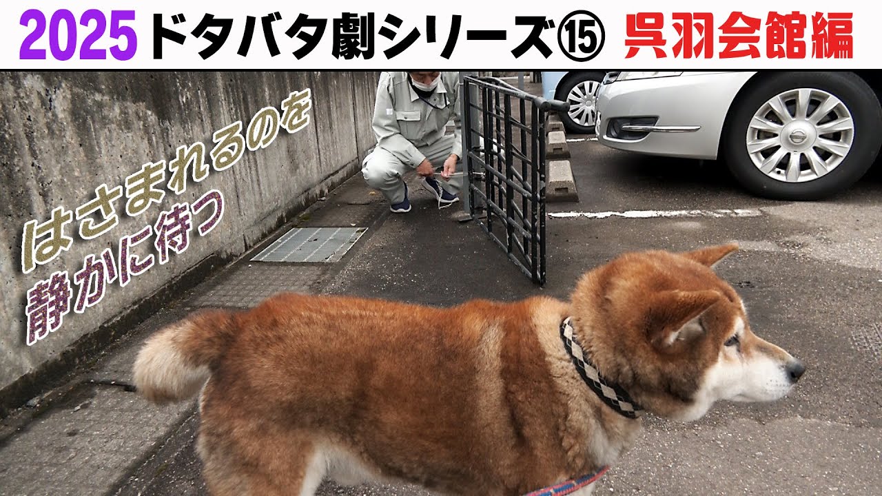 2025狂犬病予防注射会場のドタバタ劇⑮ 呉羽会館編