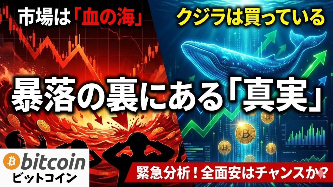 【緊急】ビットコイン暴落はやっぱり嘘?暗号資産市場全面安の裏で「クジラ」が仕掛ける罠がヤバい!(朝活2056)