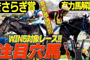 《東スポ競馬ニュース》【きさらぎ賞2026】好走データに唯一合致する馬！馬場適性が高そうな馬！キャリーオーバーを狙うならぜひ見て！競馬記者が徹底解説します