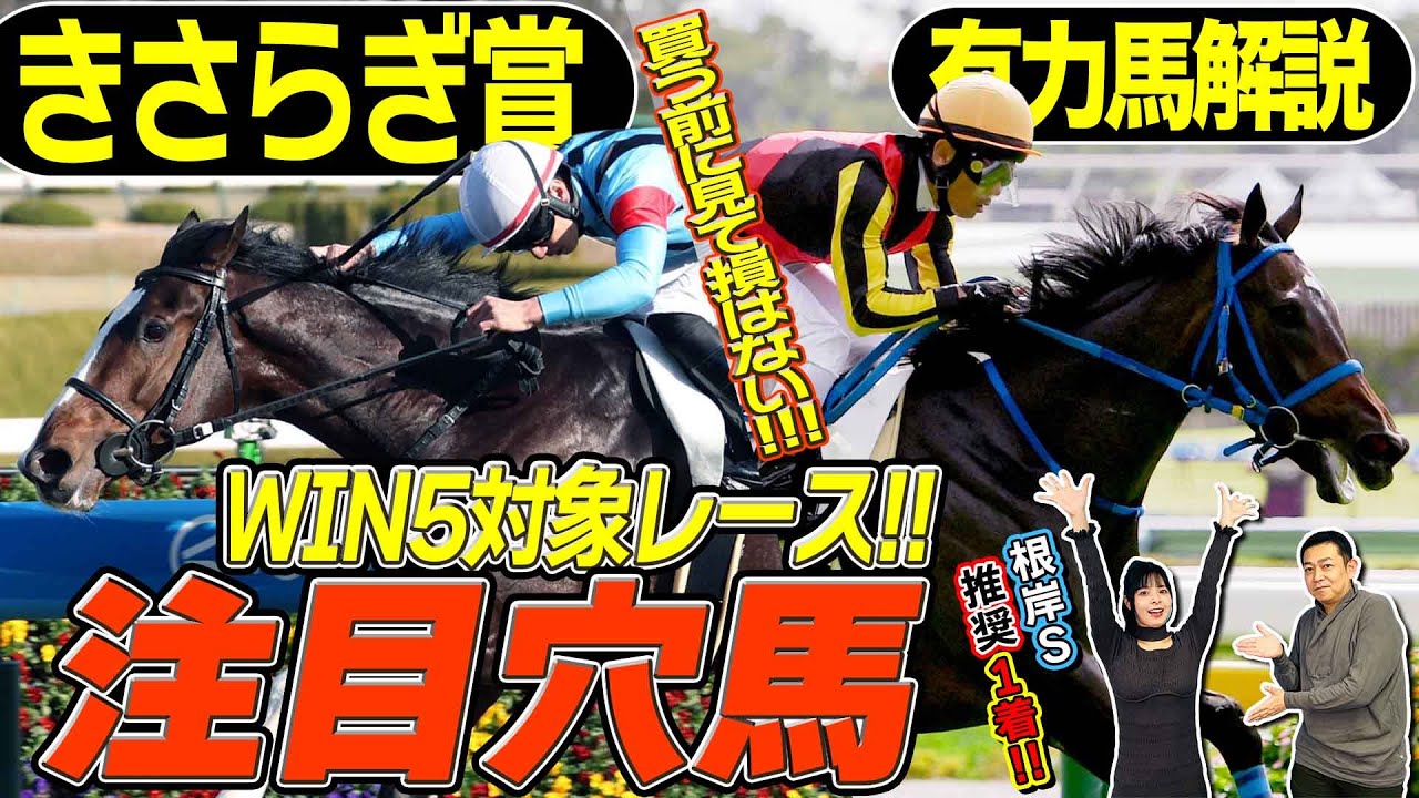 《東スポ競馬ニュース》【きさらぎ賞2026】好走データに唯一合致する馬!馬場適性が高そうな馬!キャリーオーバーを狙うならぜひ見て!競馬記者が徹底解説します 《東スポ競馬ニュース》【きさらぎ賞2026】好走データに唯一合致する馬!馬場適性が高そうな馬!キャリーオーバーを狙うならぜひ見て!競馬記者が徹底解説します