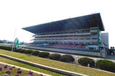 姫路競馬 重賞「兵庫ウインターカップ」開催日に解説番組を生配信 競馬通芸人や声優が登場【PR】 | ラジトピ ラジオ関西トピックス