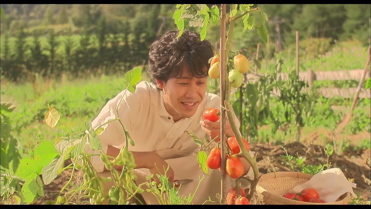 【映画フル】しあわせのパン 🎁🎁 日本のベストテレビシリーズ 2025 🎀🎀