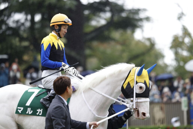 武豊騎手 今週の騎乗馬…クイーンカップに白毛馬マルガと参戦(競馬のおはなし)|dメニューニュース(NTTドコモ) 武豊騎手 今週の騎乗馬…クイーンカップに白毛馬マルガと参戦