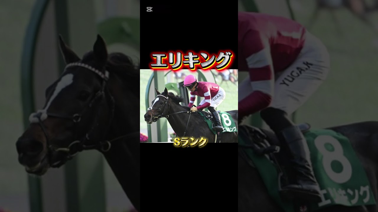 【京都記念】エリキングの弱点!?#競馬 #競馬予想 #京都記念 #天皇賞 #shorts