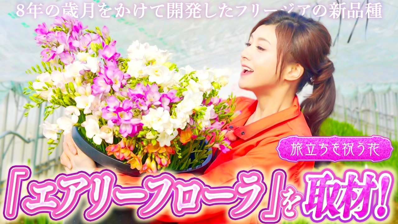 藤原紀香が石川県へ!8年の歳月をかけて開発、カラバリ豊富な「エアリーフローラ」を取材!〜生産者の皆さんと能登牛を愉しめる「肉匠Jade金澤」でゆる飲み〜