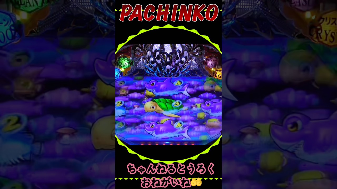 大海物語❹withアグネスラム!2026年2月16日