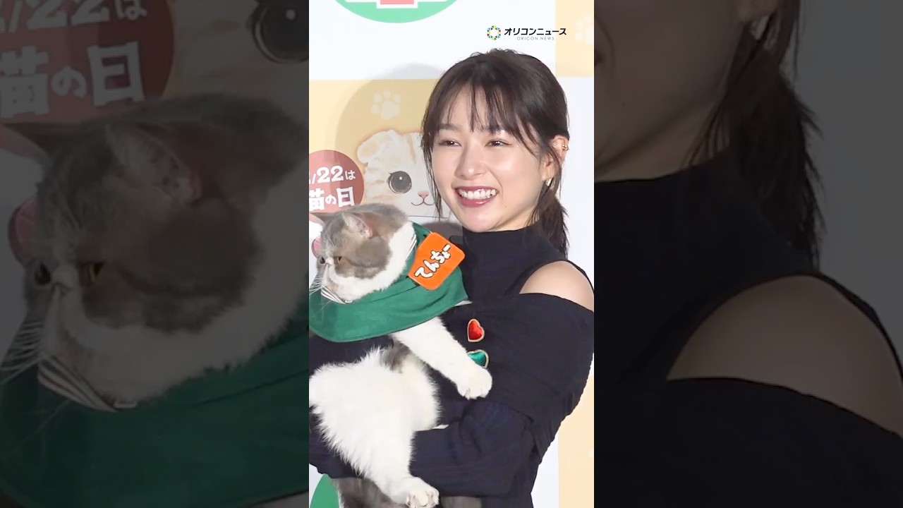 桜井日奈子、“シゴデキ”猫店長に感動!?#shorts #桜井日奈子 #猫