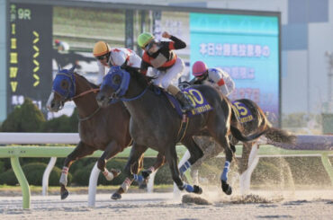 TCK大賞にディクテオン 荒山勝徳厩舎の活躍が際立つ