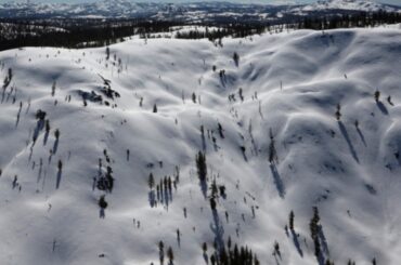 米加州雪崩、スキーヤー9人なお不明　6人救助 | ロイター