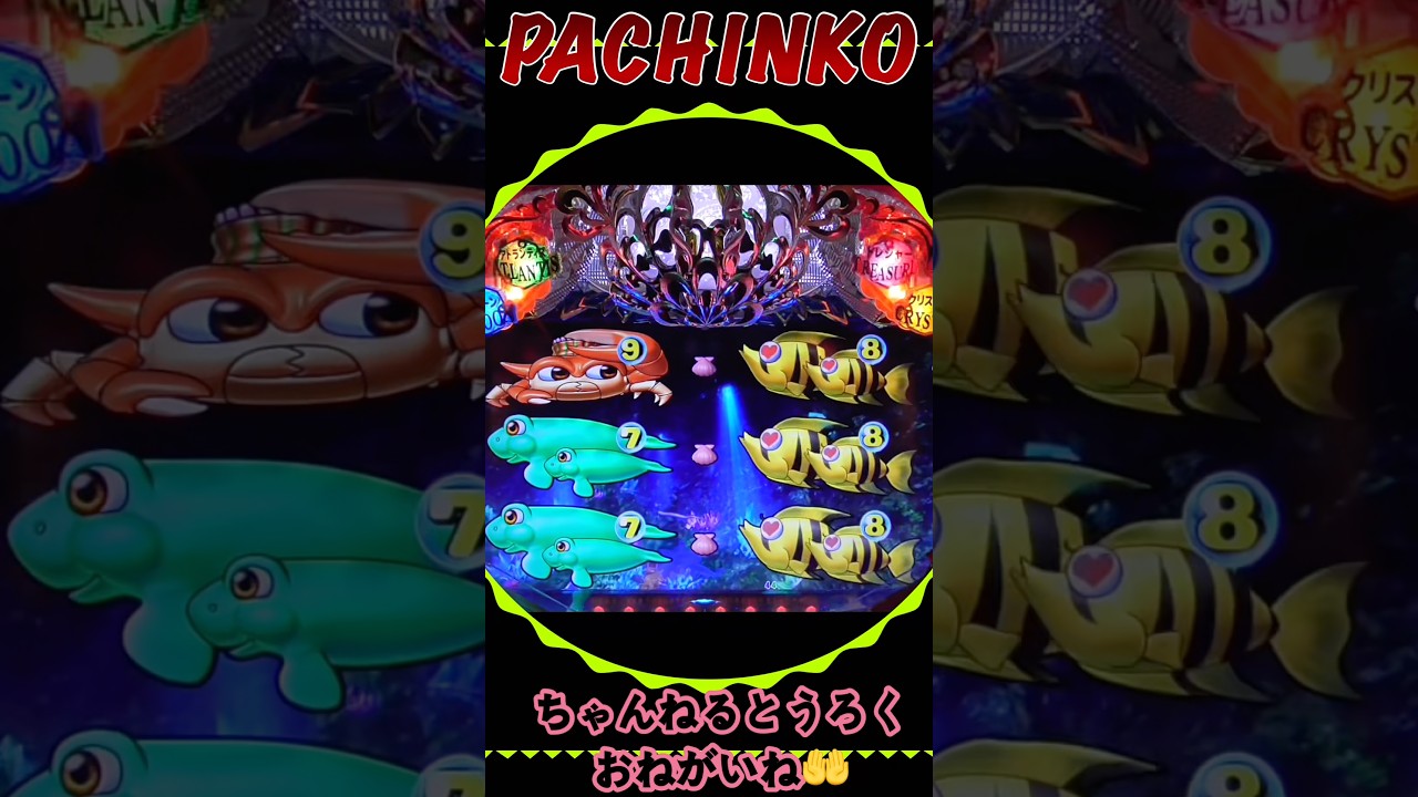 大海物語❹withアグネスラム!2026年2月17日