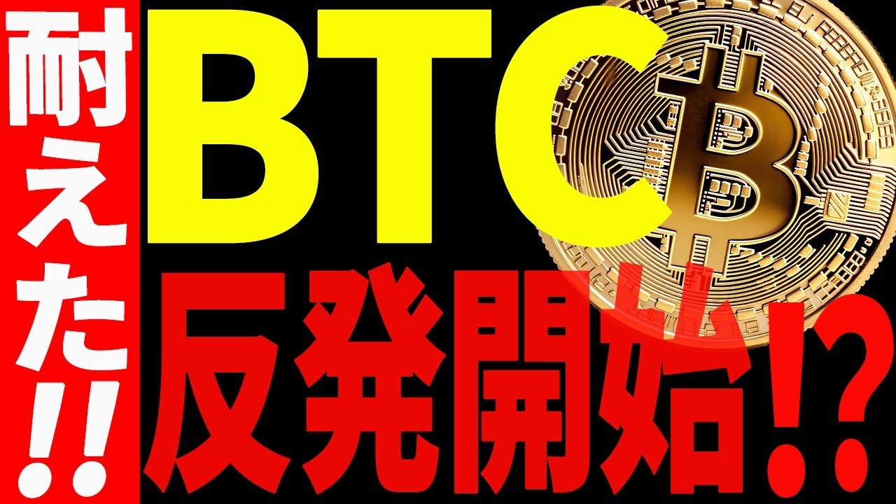 ビットコインの反発が始まる⁉今後の流れに乗りたいなら必ず〇〇を見ろ!【仮想通貨】