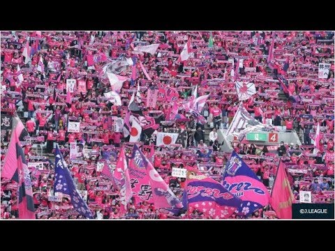 【動画】C大阪が登美丘高校ダンス部とコラボ!応援リポーターの池田愛恵里が“キュート”なダンスを披露