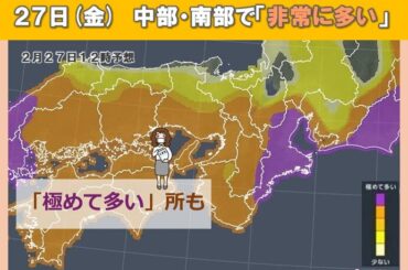 近畿はスギ花粉が本格飛散　27日(金)は広範囲で「非常に多い」　今夜は広く雨に