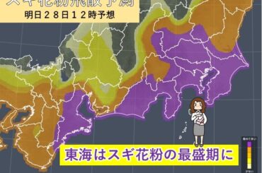 東海はスギ花粉の最盛期に　三重県と静岡県は明日28日以降も「極めて多い」予想