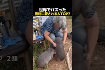 世界でバズった！動物に愛される人たちTOP7