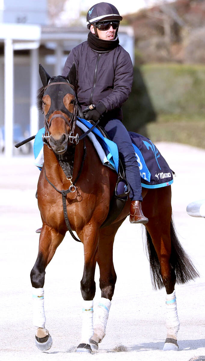 ロードフォンス