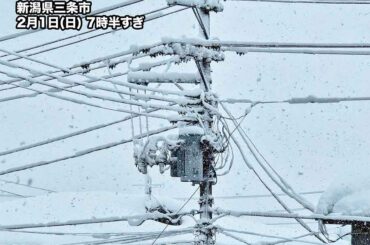 ウェザーニュース