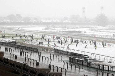 雪により開催中止となり除雪作業が行われる東京競馬場（カメラ・荒牧　徹）