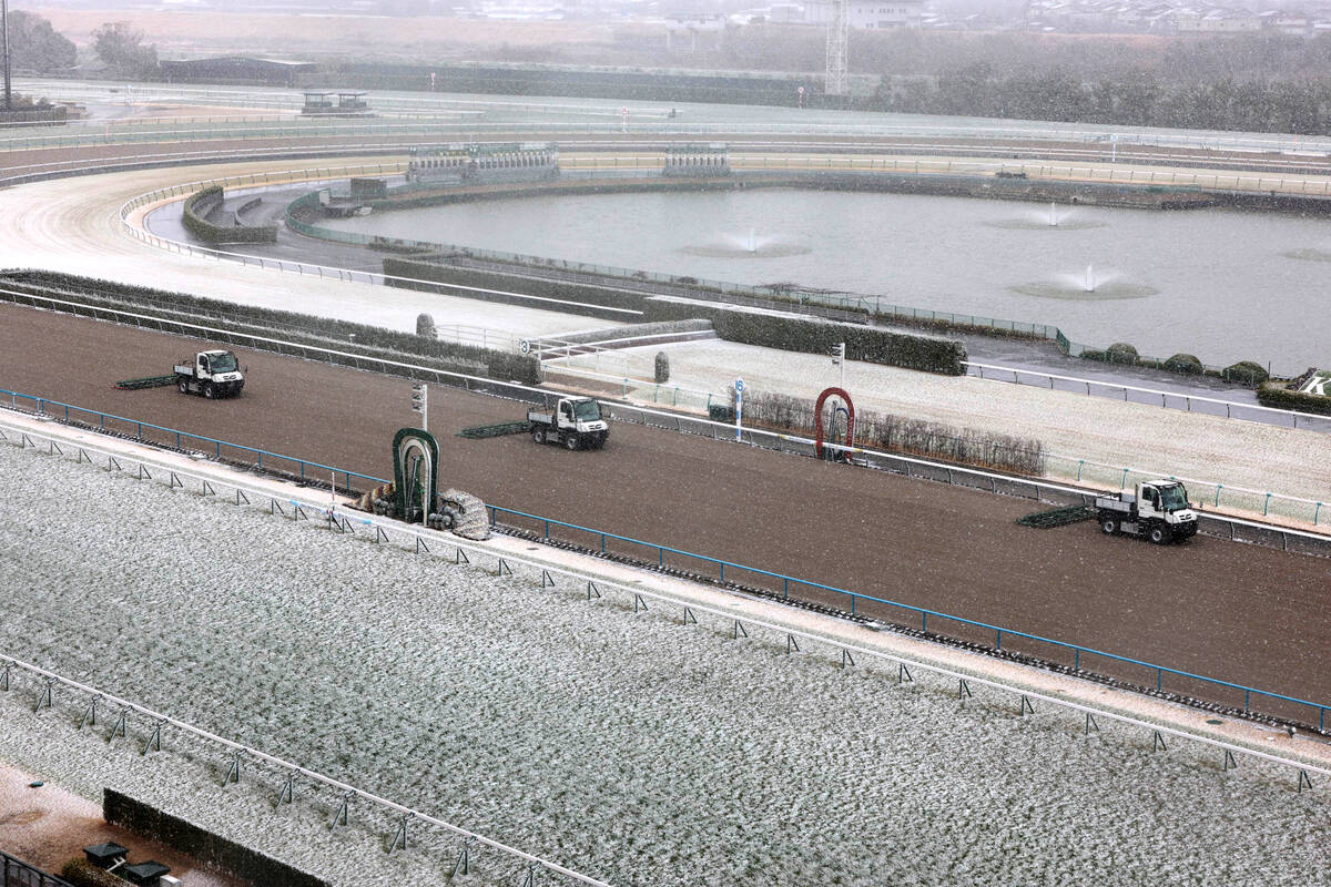 京都競馬開催中止　降雪の中、除雪を繰り返す作業車（カメラ・高橋　由二）