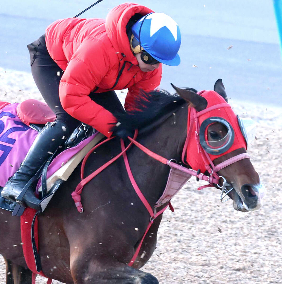 ゴバドに騎乗する岩田康騎手